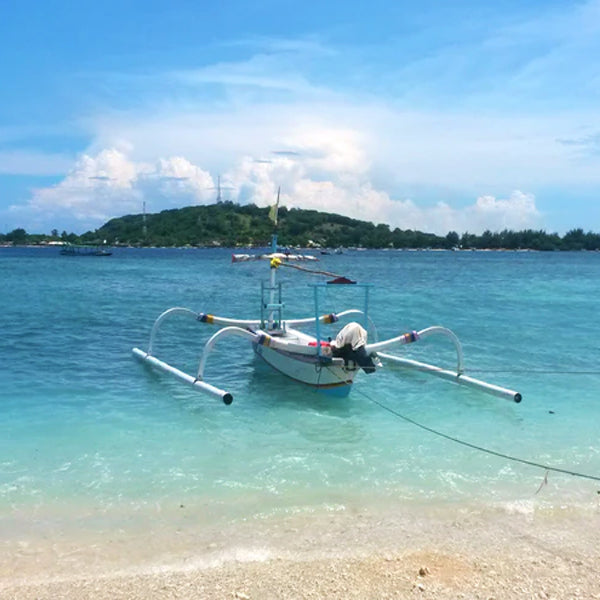 Gili Trawangan The Birth Place of SwimCell
