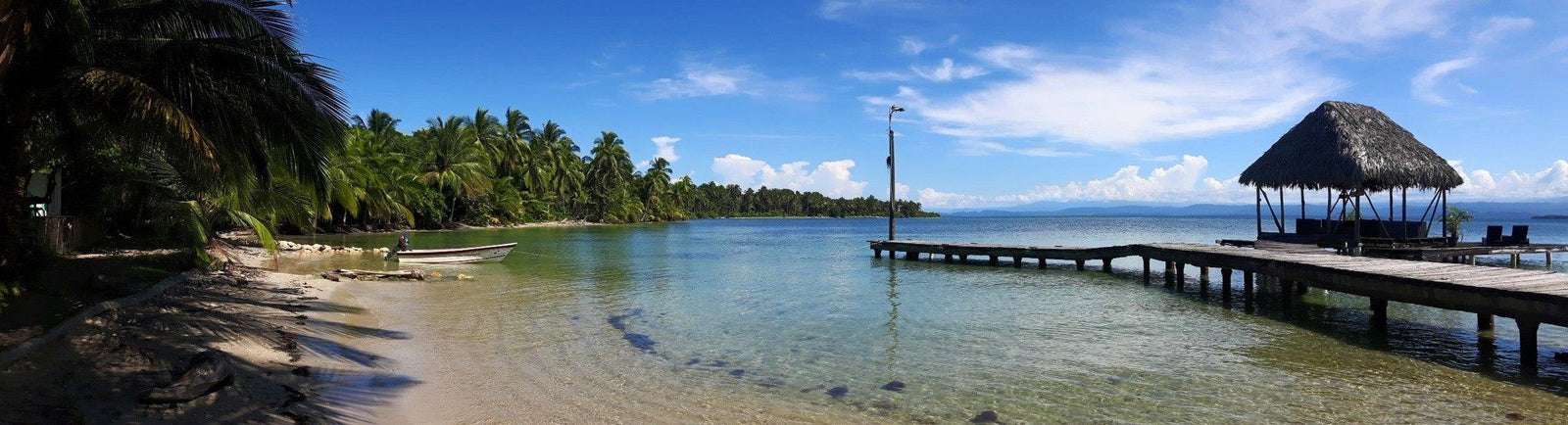 The Best GoPro Alternative. Filming Starfish Underwater on a Phone with a SwimCell Waterproof Case.