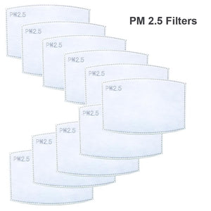 buy pm 2.5 filters for face mask